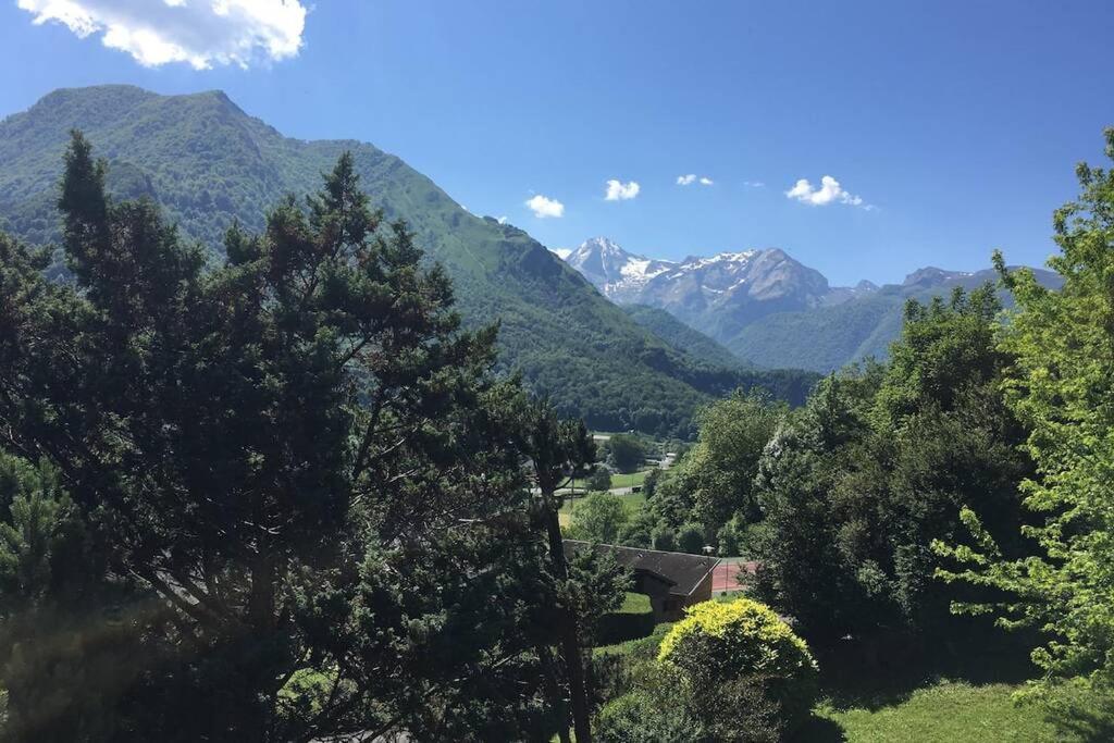 Chalet De L'Ours Brun, Gite 3 Etoiles Gere-Belesten Buitenkant foto
